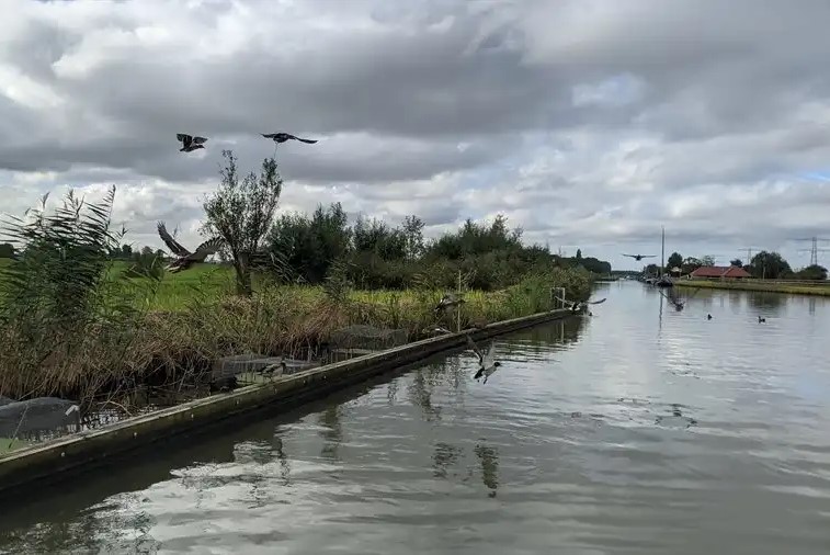 waterlandschap vanaf de oever